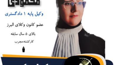 سعیده محمودی عین الدین