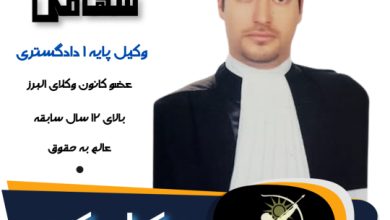 محسن سهامی