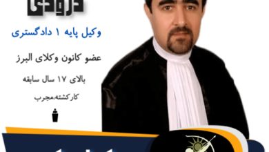 رضا درودی