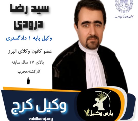 رضا درودی
