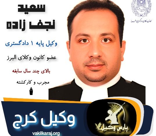 سعید نجف زاده