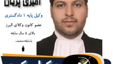 محمدامیر امیری پریان