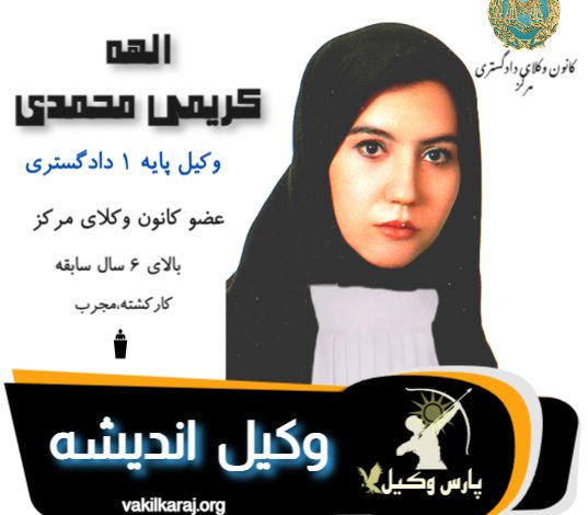 الهه کریمی محمدی