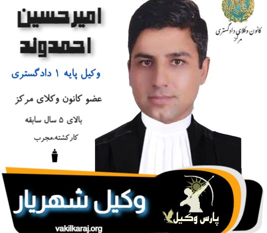 امیرحسین احمدوند