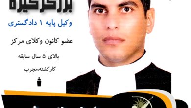 رضا برزگرگیزه
