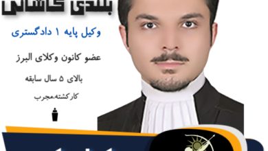 فرشاد بلندی