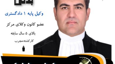 مجتبی بذلی