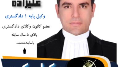 هادی علیزده