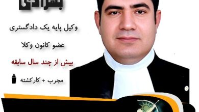 ایرج بهزادی