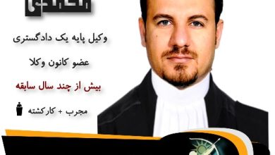مجتبی محمدی