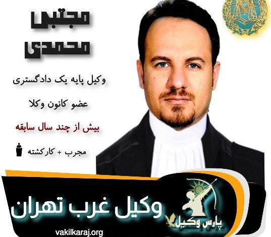 مجتبی محمدی