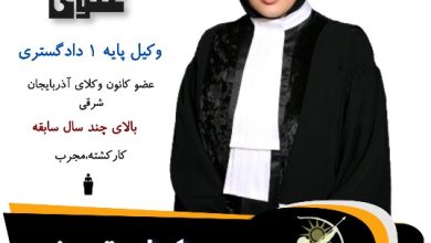 مینا علوی