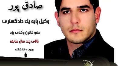 محمد صادق پور