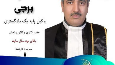 محمود برجی
