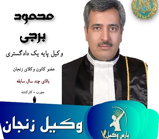 محمود برجی