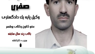 منوچهر صفری