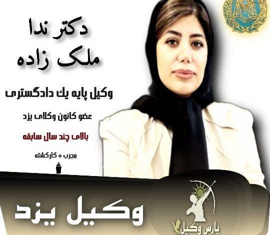 ندا ملک زاده