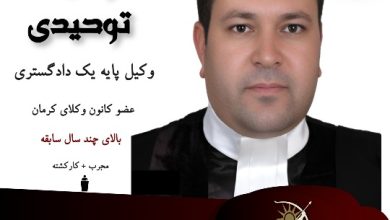 وحید توحیدی
