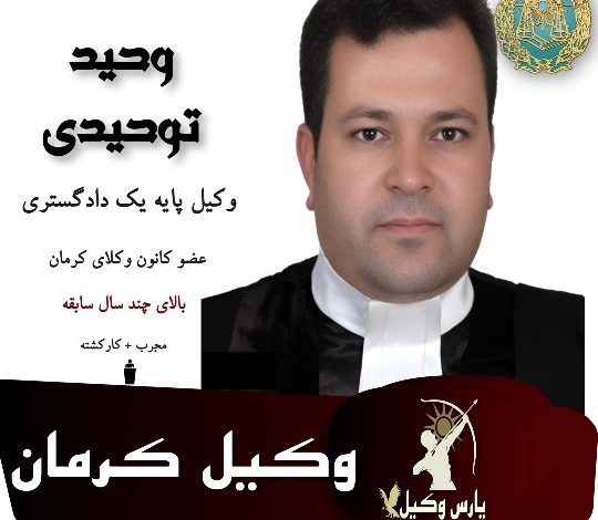 وحید توحیدی