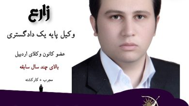 حامد زارع