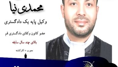 حسن محمدی نیا