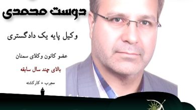 مهدی دوست محمدی