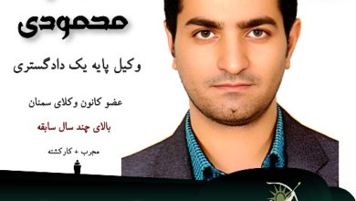 میثم محمودی