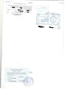 وکیل شرکت کره جنوبی