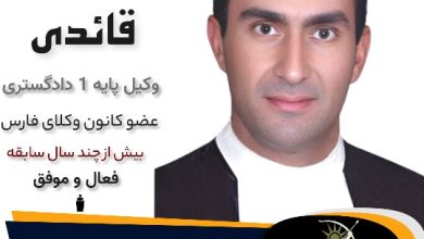 سعید قائدی