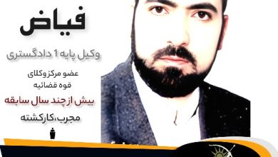 علی فیاض