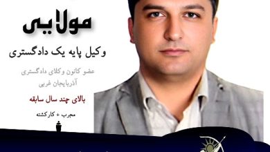 رضا مولایی