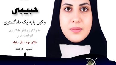 لیلا حبیبی
