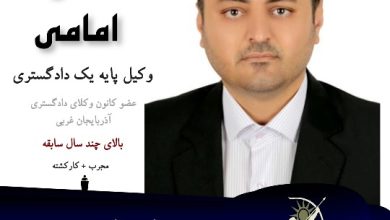 محسن امامی