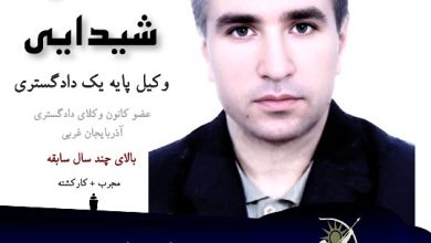 مهدی شیدایی