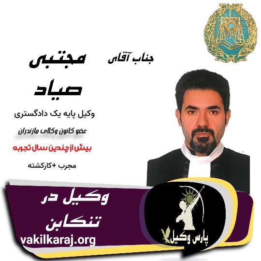 مجتبی صیاد