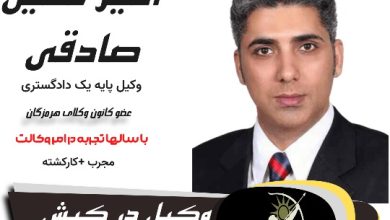 امیر حسین صادقی