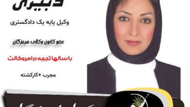 زهرا دبیری