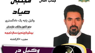 مجتبی صیاد