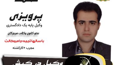 محمد پرویزی