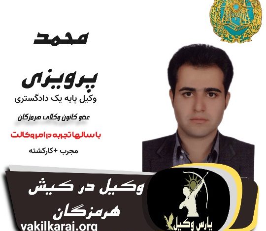 محمد پرویزی