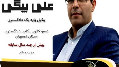 مهدی علی بیگی