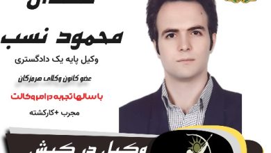 مهدی محمود نسب