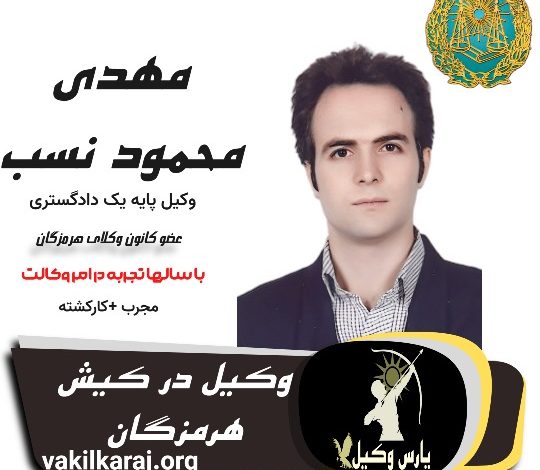 مهدی محمود نسب