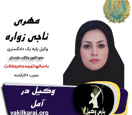 مهری ناجی زواره