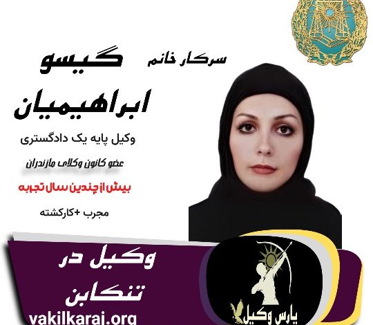 گیسو ابراهیمیان