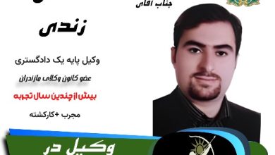 مهدی زندی