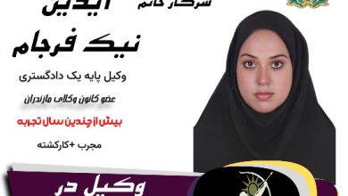 آیدین نیک فرجام