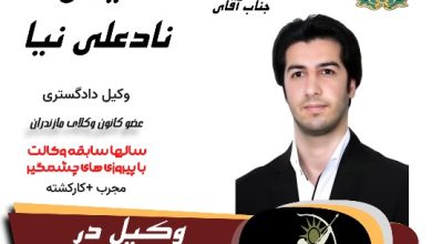 ایمان نادعلی نیا