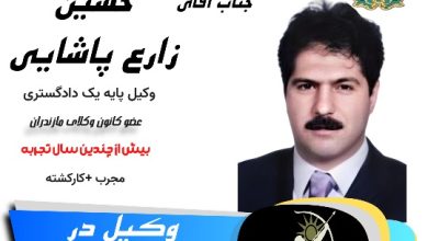 حسین زارع پاشایی