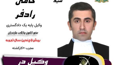 سید حامی رادفر